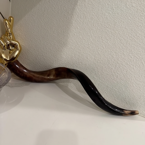 Decoración de Cuerno de Animales Hecha a Mano de Primera Calidad de Tradebyd, Material Orgánico Ecológico, Decoración del Hogar y Opción de Regalo de Lujo - Product Image 1