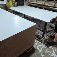 Panneau MDF mélaminé décoratif pour meubles et murs intérieurs, résistant à l'humidité, imperméable, peint aux UV, haute densité, taille personnalisée