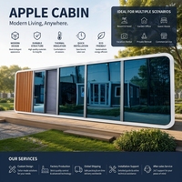 Cabane préfabriquée compacte de luxe en conteneur, maison préfabriquée avec un design gain de place