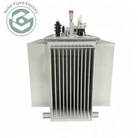 Transformateur immergé dans l'huile à économie d'énergie 250 kVA 160 kVA, transformateur électrique immergé dans l'huile à économie d'énergie, vente chaude