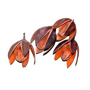 ZENX Pot-pourri de Bakuli Naturel Écologique, Fleurs Indiennes Séchées Décoratives de Noël Élégantes et Durables 4-7cm, Lot en Vrac pour la Maison - Product Image 1