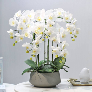 Realista <span class=keywords><strong>Oh</strong></span> Arts Jardín natural Flores de orquídeas en maceta artificiales Arreglo de orquídeas en maceta de cerámica Flor de Orquídea artificial - Product Image 6