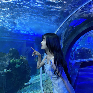 תוצרת סין Lucite גדול מעוקל אקריליק אקווריום מנהרה - Product Image 3