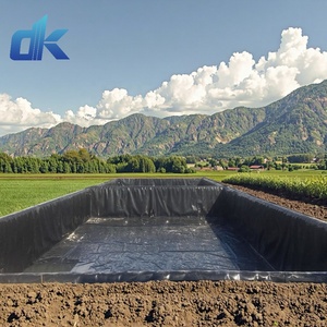 แผ่นกันซึม HDPE สำหรับบ่อปลา บ่อเก็บน้ำ หรือเขื่อน ขนาด 1 มม. และ 1.5 มม. ยอดขายดีที่สุดปี 2026 - Product Image 3