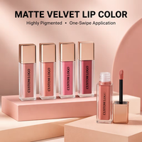 Usine en gros personnalisé liquide rouge à lèvres haute brillance brillant à lèvres longue durée mat velours glaçure à lèvres antiadhésif teinte à lèvres