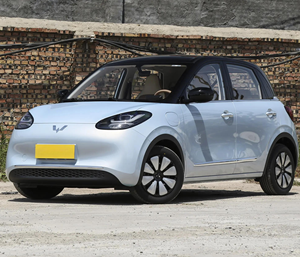 รถบิงโก333กม. รุ่นใหม่ชาร์จเร็ว, 50kW ขนาดกะทัดรัดสำหรับผู้ใหญ่รถ4-Seater ระยะไกล - Product Image 1