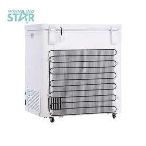 WINNING STAR BG-449 Congélateur d'Exposition à Énergie <span class=keywords><strong>Solaire</strong></span> à Compresseur DC AC240V/DC12V 125L Réfrigérateur Congélateur à Compression Profonde - Product Image 5