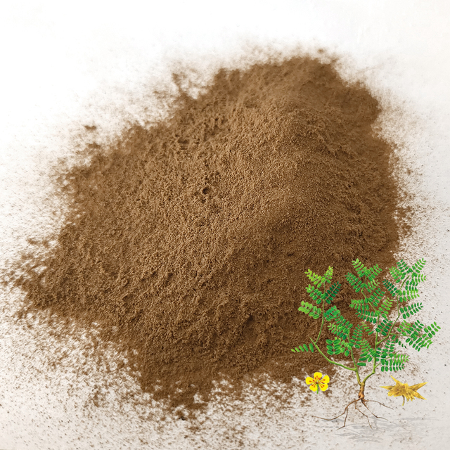 Herbspirit Pure Natural Tribulus Terrestris 90% Tribulus Terrestris Extract Tribulus Terrestris Saponins 95% Powder