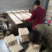 Ligne de production de machines à fabriquer des barquettes à œufs en carton alvéolées, entièrement automatique, fournie par les fabricants