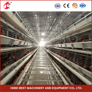 Fabbricazione di gabbie per galline ovaiole cina H tipo pollaio gabbia a strati di pollo in legno di alta qualità con buona ventilazione - Product Image 4