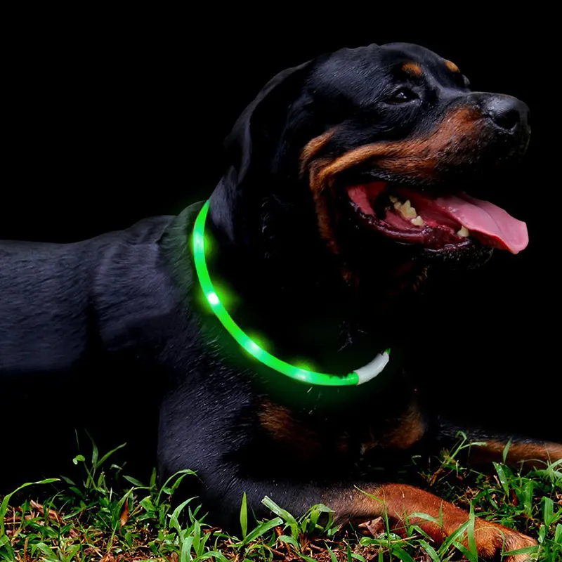 Colar com luz para cachorro, colar de luz ajustável, à prova d' água, recarregável, usb, 12 peças