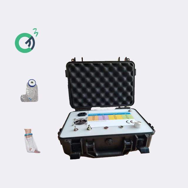 Professional Portable Ozone Medical Generator with Pump and PLC 1 Year Warranty 1000L/Hour Productivity for Blood Treatment