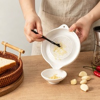 Râpe à ail en céramique blanche, hachoir manuel à gingembre avec poignée, logo personnalisé OEM ODM, outil de cuisine
