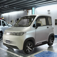 Voiture électrique neuve à deux places, homologuée EU EEC COC L6e, véhicule électrique à basse vitesse, petite voiture électrique à 4 roues sans permis de conduire