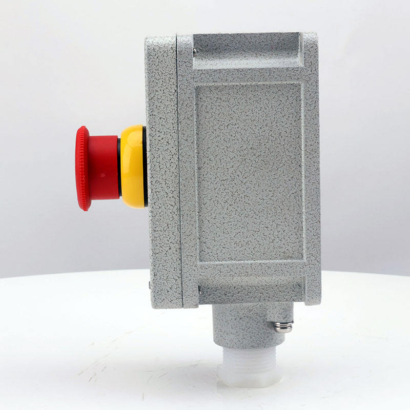 IP66 Explosion-Proof Button Box 220V 10A Push Button Emergency Stop ...