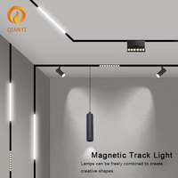 Fabricants professionnels Éclairage de plafond à rail magnétique intelligent à LED Système d'éclairage linéaire à LED noires