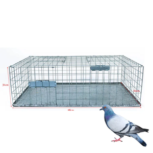 <span class=keywords><strong>Cage</strong></span> de piège à animaux pour oiseaux en fil métallique pliable robuste filet de chasse sans cruauté pour la lutte antiparasitaire au <span class=keywords><strong>sanglier</strong></span> Pigeon - Product Image 4