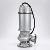 Pompa Air Limbah Submersible SS304 Anti-Sumbat untuk Drainase Air Kotor Ringan