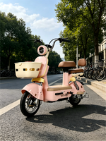 Vélo électrique 350W à moteur silencieux 48V avec moteur à moyeu arrière et freins à tambour avant/arrière pour les trajets quotidiens