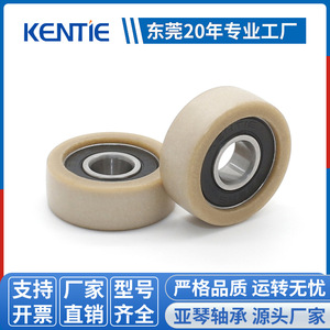 Poleas Planas de Plástico de Ingeniería Especial del Fabricante de Dongguan, Rodamientos Recubiertos de Goma Resistentes al Desgaste, Rodillos de Rodamiento - Product Image 6