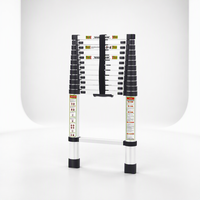 Échelles télescopiques industrielles en aluminium SURESTEP, design traditionnel EN131, capacité de charge 150 kg, 12 marches, compactes pour appartement et entrepôt