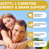 Suplementos de Acetil L-Carnitina OEM en Gomitas Sin Azúcar para Adultos, Apoyo Energético, Salud Cerebral, Concentración, Claridad, Metabolismo de Grasas, 60 Unidades