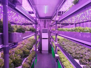 Smart Control 40 'Container Mobile Shipping Grow Room Farm Irrigation & Hydroponics Equipment Solución llave en mano - Product Image 5