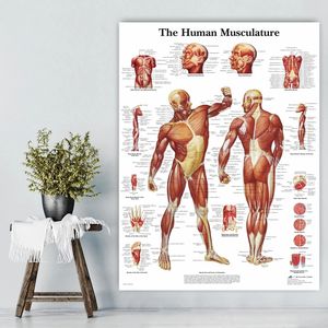 Affiche d'art moderne d'anatomie humaine, système de Muscles, carte corporelle imprimée, toile, peinture, photos murales pour Science médecine, décor de chambre à coucher - Product Image 3
