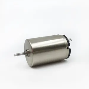 Elektrische Parmenent Magneet Gecodeerd 12V Bi Bldc Sever Motor Voor Tattoo Machines, Vlees Snijmachine, Golfkar Motor