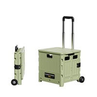Chariot de transport pliable multifonctionnel et portable pour la maison, boîte de rangement de camping 30L-40L en plastique PP, simplicité moderne