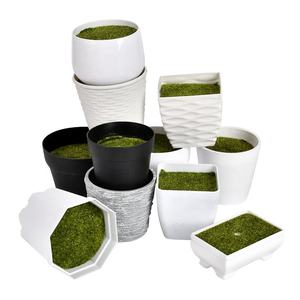 <span class=keywords><strong>Maceta</strong></span> de plástico de simulación de flores, suministro de fábrica, con espuma, planta de jardinería suculenta, <span class=keywords><strong>maceta</strong></span> pequeña - Product Image 1