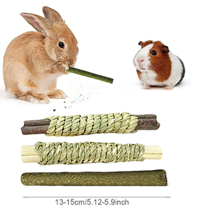Jouets à mâcher interactifs modernes en bois pour animaux de compagnie, bâtonnets à mâcher en forme de pomme en emballage carton pour lapins, chinchillas, rats, lapins d'Inde et cochons d'Inde - Product Image 2