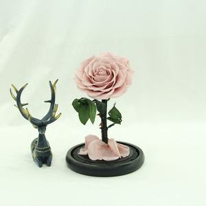 Venta caliente Little Prince Rose Preserved Rose en caja de regalo de vidrio para el Día DE LA Madre y regalos del Día de San Valentín - Product Image 5