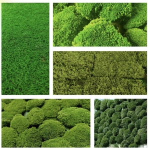 Musgo Eterno para Interiores/Exteriores, Verde Natural, Hecho a Mano, Ecológico, Decoración de Pared, Material para Manualidades, Preservación de Flores para Pascua - Product Image 2