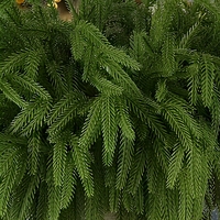 4 lots de branches artificielles de pin de Norfolk, aiguilles de sapin artificielles pour couronnes DIY, décoration de vases, décoration de Noël pour la maison