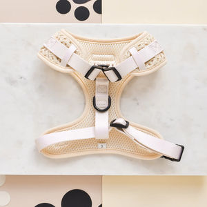 Arnés de <span class=keywords><strong>Perro</strong></span> de Encaje de Nailon Ligero, Elegante y de Lujo <span class=keywords><strong>para</strong></span> Verano, <span class=keywords><strong>Chaleco</strong></span> Acolchado Suave y Transpirable <span class=keywords><strong>para</strong></span> Mascotas, Personalizado - Product Image 3