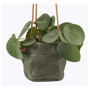 Housse de pot de fleurs en <span class=keywords><strong>toile</strong></span> cirée faite à la main, pot suspendu <span class=keywords><strong>pour</strong></span> plantes d'intérieur, panier suspendu <span class=keywords><strong>pour</strong></span> plantes - Product Image 1