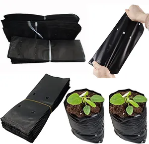 DD1573 정원 100 PC 검은 두꺼운 PE 보육 가방 통기성 구멍 분재 과일 나무 묘목 컵 식물 성장 가방
