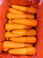 Carottes fraîches d'origine Shandong, légumes frais de Chine
