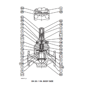 Soupape de sécurité montée sur châssis chinois LR125 FISHER, régulateur de pression pour gaz, OEM, alliage/acier inoxydable - Product Image 4