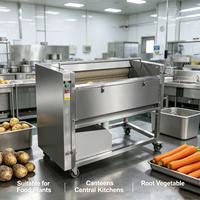 DXC-1000/1500 Wortelgroentewas- en schilmachine van 304 roestvrij staal voor de verwerkingslijn van aardappel, wortel en yam