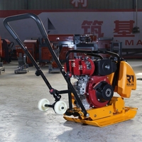 Compacteur vibrant autoporté personnalisé pour asphalte, support OEM/ODM, machine à moteur essence pour aménagement paysager et pavage