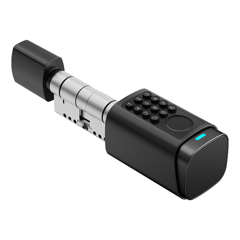Safety Adjustable Waterproof Keyless Smart Mortise