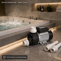 Pompe de bain à hydromassage 1 CV, sans marque, interrupteur pneumatique OEM, prise UE 50 mm, pieds en aluminium, 220 V, pompe à eau pour spa et bain à remous, étiquette neutre