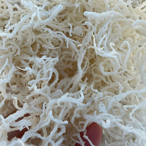 <b>Sea</b> <b>Moss</b> - Irish <b>Moss</b> - Seamoss <b>Raw</b> Organic - Dried <b>Sea</b> <b>Moss</b> - Natural Wildcrafted, Pure, Non-GMO & Gluten-Free <b>Sea</b> <b>Moss</b> - Product Image 1