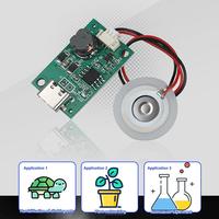 DC5V Usb Nébuliseur À Ultrasons Humidificateur Nébuliseur Module Pilote Mini Humidificateur Kit De Bricolage Type-C Avec Feuille D'atomiseur