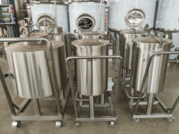 Système de nettoyage CIP 100L pour équipement de brasserie