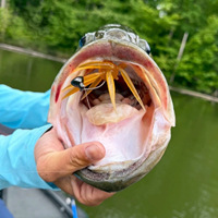 Wildtrek 105mm/17mmBall 8.8g Leurre souple flottant en TPE en forme d'ormeau marin avec tentacules radiaux, inspiré de JDM, pour la pêche au bar en montage Morigen