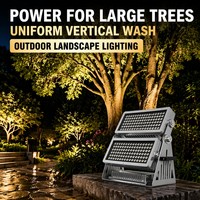 Projecteur mural LED double couche RGB RGBW 200W 240W, éclairage d'inondation DMX512 pour façade architecturale, arbre, paysage, scène événementielle