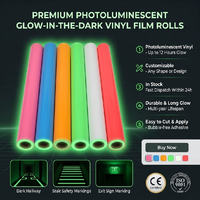 Vinilo de PVC Autoadhesivo Fotoluminiscente Imprimible con Tinta Eco Solvente UV, Resistente a Desgarros, Brilla en la Oscuridad, Señales de Seguridad de Emergencia